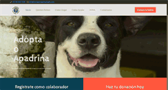 Desktop Screenshot of fundacionanimalsafe.com